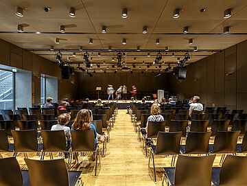 Metal wall cladding WS4